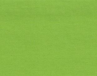 Greenery Pantone 2017 color.jpg