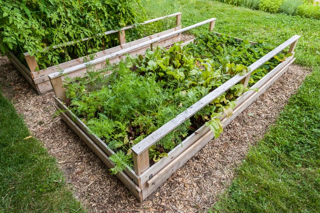 raised_garden_bed_in_backyard.png