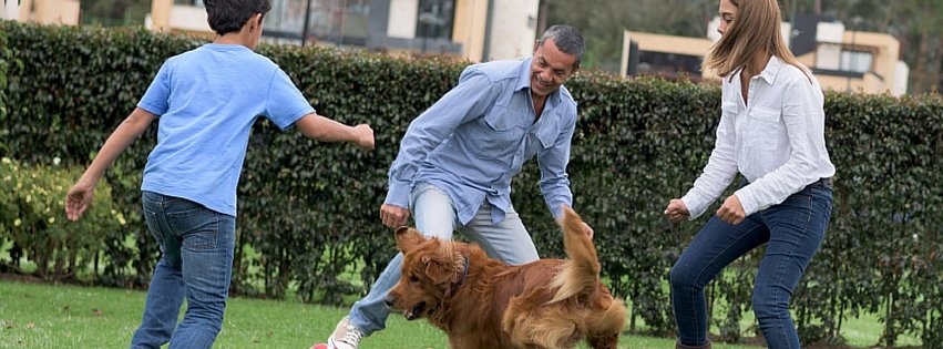 enjoying_the_backyard_with_family.jpg enjoying_the_backyard_with_family.jpg